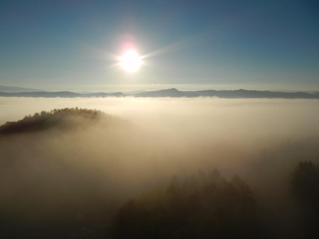 Shin Furano Prince Hotel Exterior foto Fog over the Black Forest